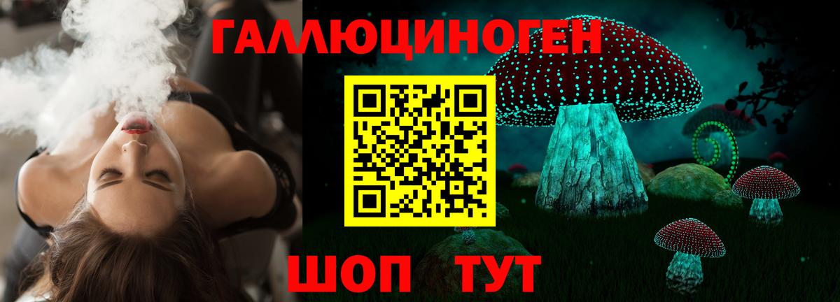 Знаменск  Галлюциногенные грибы мицелий  Вход с VPN 